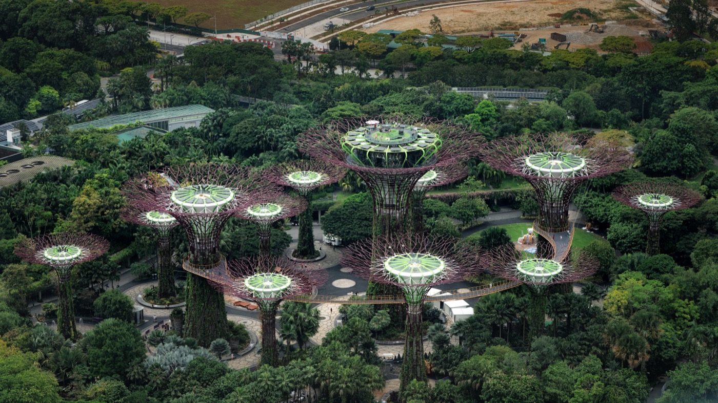 Supertree Grove illuminated at Gardens by the Bay in Singapore